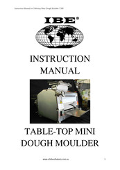 IBE T300 Instruction Manual