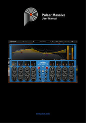Pulsar Pulsar Massive User Manual