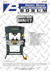 Borum BSP100TA Owner's Manual