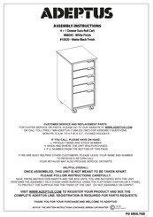 adeptus 10020 Assembly Instructions Manual
