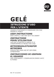 Iarp GELE User Instructions