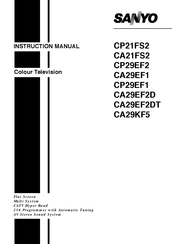 Sanyo CA21FS2 Instruction Manual