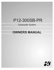 BK Precision P12-300SB-PR Owner's Manual
