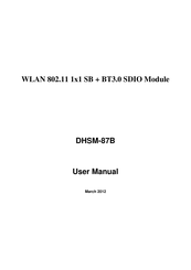 Wistron NeWeb DHSM-87B User Manual