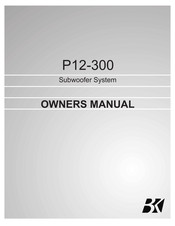 BK Precision P12-300SB-DF Owner's Manual
