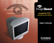 Hyundai ImageQuest ImageFlat F791 User Manual