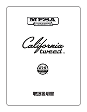 MESA ENGINEERING California tweed 6V6 4:FORTY Manual