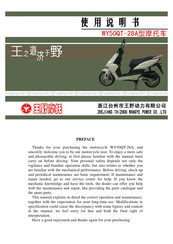 WangYe WY50QT-28A Manual