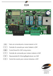 Stagnoli E24 Manual