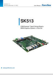 Perfectron SK513 User Manual
