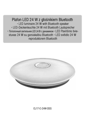 DPM CL17-C-24W-DSS Manual