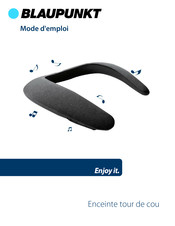 Blaupunkt BLP4910 User Manual