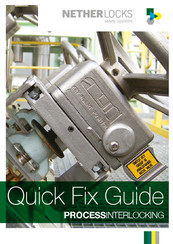 NetherLocks PROCESSINTERLOCKING Quick Fix Manual