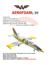 AeroFoam L-39 Manual