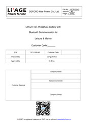 DEFORD New Power DCU100B-V2 Manual