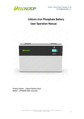 DELONGTOP LFP48200 User's Operation Manual