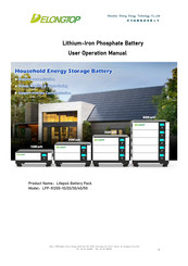 DELONGTOP LFP-51200-50 User's Operation Manual
