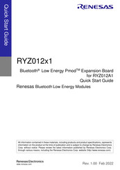 Renesas RYZ012x1 Quick Start Manual