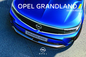 Opel GRANDLAND 2020 Owner's Manual