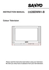 Sanyo CE28DWN1-B Instruction Manual