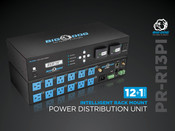 Big Dog PR-R13PI Manual