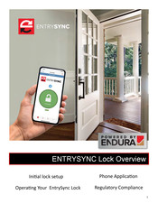 Endura EntrySync Manual