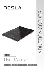 Tesla IC400B User Manual