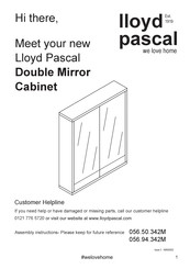 Lloyd Pascal Double Mirror Cabinet Assembly Instructions Manual