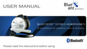 Blueant OBH-0100 User Manual