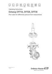 Endress+Hauser Deltatop DP71B Operating Instructions Manual