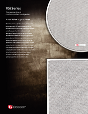Boston Acoustics VSi S8W2 Brochure & Specs