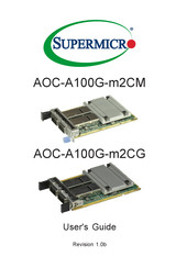 Supermicro AOC-A100G-m2CG User Manual
