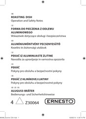 Ernesto Z30064 Operation And Safety Notes