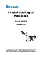 BestScope BS-6030 User Manual