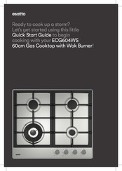 Esatto ECG604WS Quick Start Manual