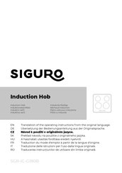 SIGURO SGR-IC-G180B Translation Of The Operating Instructions