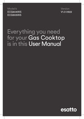 Esatto ECG604WS User Manual