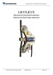 Gigasense LKVX-01 Manual
