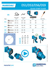 Marechal Electric DS1 Quick Start Manual