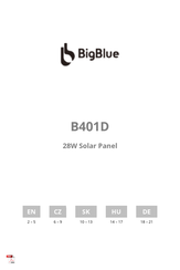 ALZA BigBlue B401D Manual