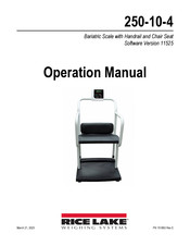 Rice Lake 250-10-4 Series Operation Manual