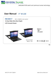 Cyber View RM-DSK17 User Manual