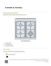 Fisher & Paykel OR60SDBGFX2 Manual
