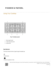 Fisher & Paykel OR120DDWGX2 Manual