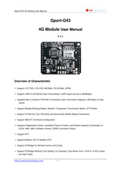 HF Gport-G43 User Manual