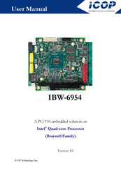 Icop IBW-6954 User Manual