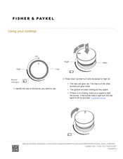 Fisher & Paykel CG905DWNGFCX3 Using