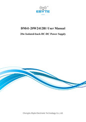 Ebyte DM41-20W2412B1 User Manual