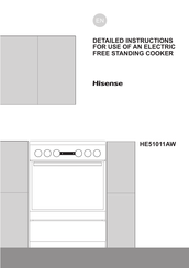 Hisense HE51011AW Detailed Instructions