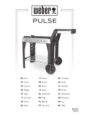 Weber PULSE Manual